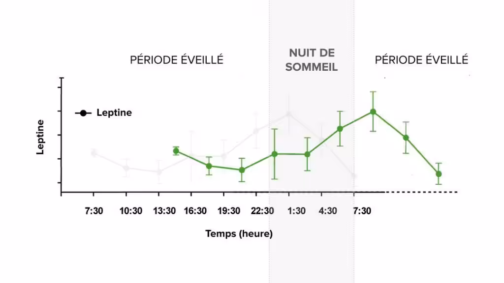 Décalage de la leptine quand on mange des féculents tard le soir