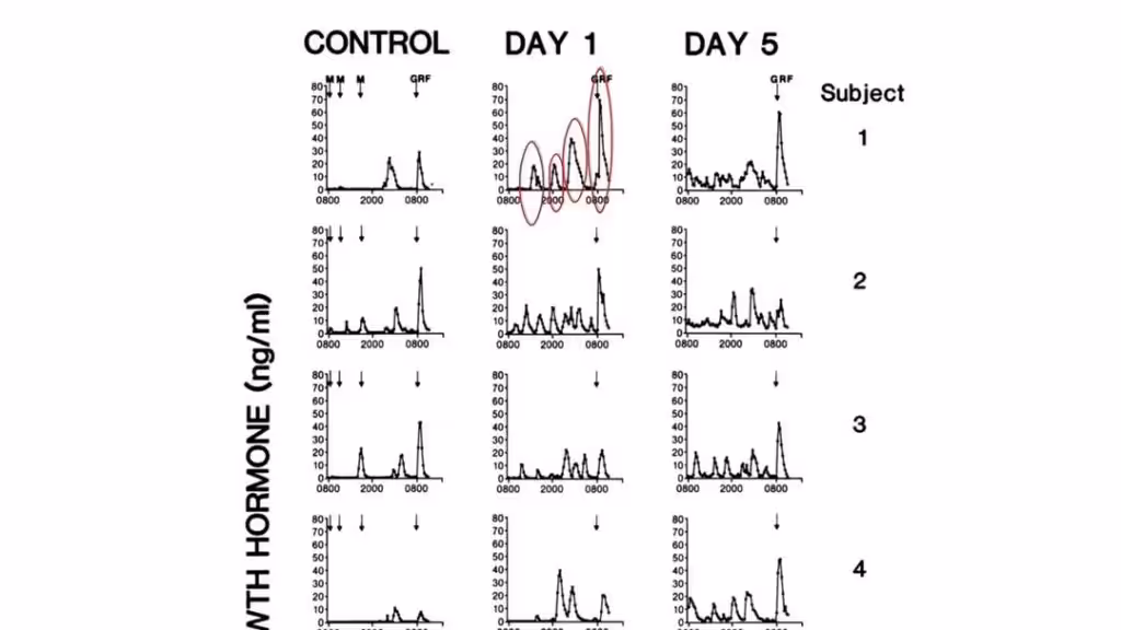 Jeûne intermittent 24h - Graphique de l'augmentation de l'hormone de croissance 1er jour de jeûne