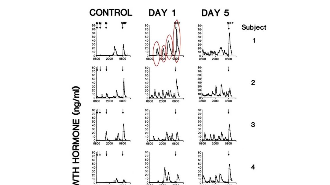 Jeûne intermittent 24h - Graphique de l'augmentation de l'hormone de croissance 1er jour de jeûne