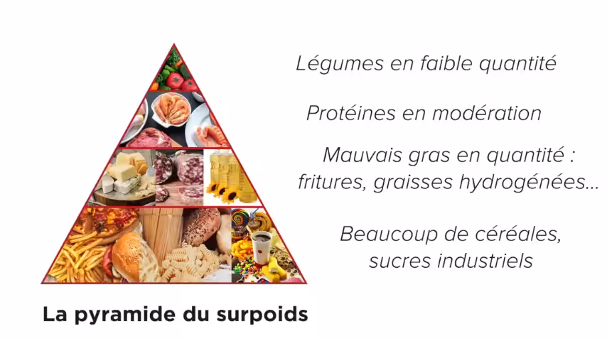 pyramide du surpoids