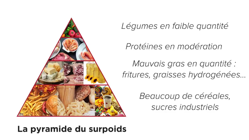 pyramide du surpoids